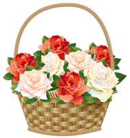 a basket of roses